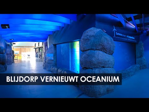 Diergaarde Blijdorp: Oceanium vernieuwd - Leven met Windparken