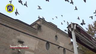 Tavşanlı Ulu Cami