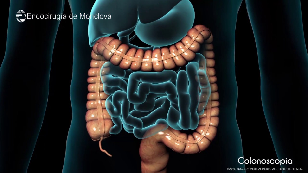 Luis Miguel Garza Huerta-9