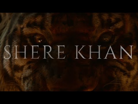 SHERE KHAN | 2016