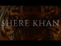 SHERE KHAN 2016