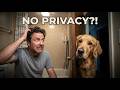 Why Dogs Follow You to the Bathroom - Dog Podcast