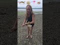 I have the best sea animal