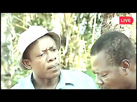 | Osuofia the Nsogbu Uwa |  Mama G, the Elizabeth |