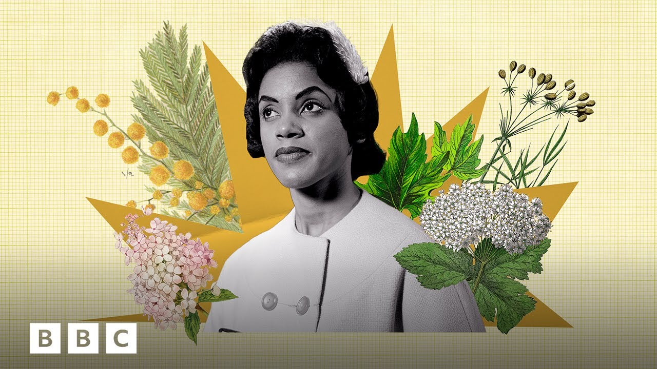 How nature can make you feel calmer | BBC Global