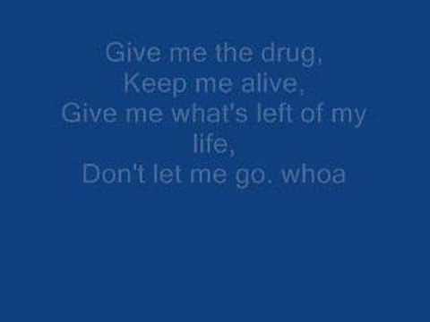 Rise Against - Injection (with lyrics)