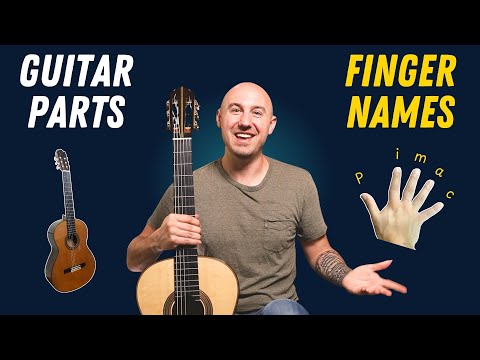 Learn Every Guitar Part + Finger Names in 5 Minutes | Complete Beginner Breakdown