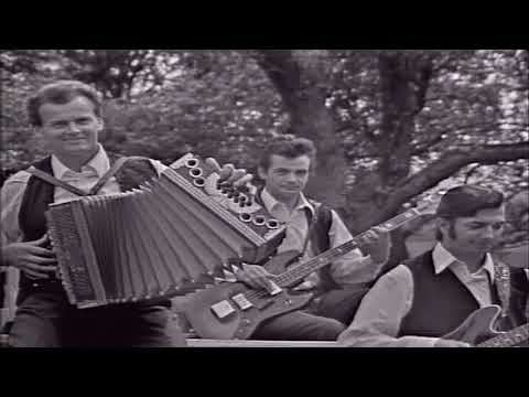 Henček   Oj Polonca