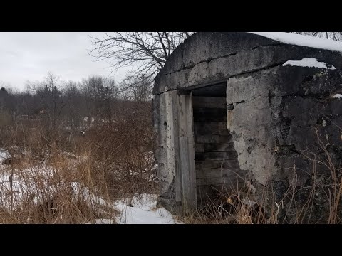youtube embeded image