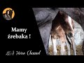Ciąża I Poród Mojej Klaczy