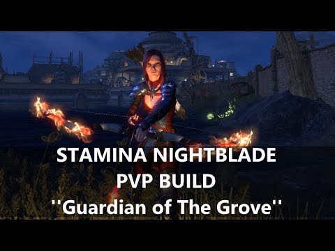 ESO l Stamina Nightblade PvP build CP & Non CP