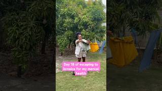 Day in the life of a thirtysomething Londoner who's escaped to Jamaica to stay with her grandparents