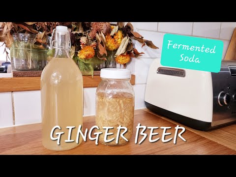 Make FERMENTED GINGER BEER | Fermented Soda Series: All the Knowledge to make Fermented Soda
