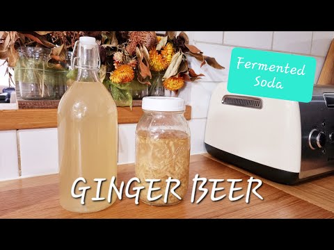 Make FERMENTED GINGER BEER | Fermented Soda Series