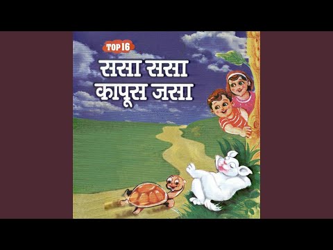 Sasa Sasa Kapus Jasa