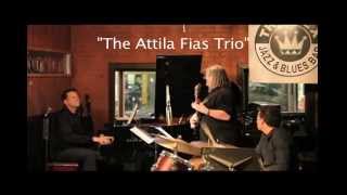 Musical Moments from Attila Fias\' Recent Performances