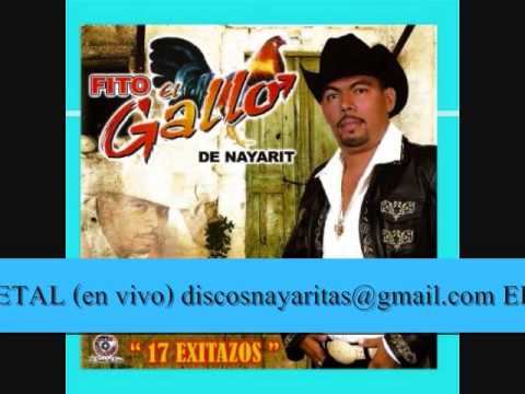 Fito El Gallo de Nayarit  el cafetal