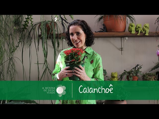 Pronunție video a Calandiva în Engleză