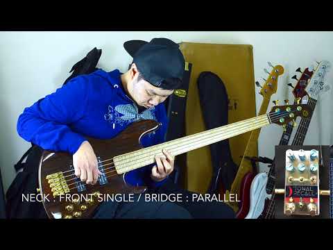 Maruszczyk Elwood L5a-24 Ziricote Top/Delano Timesquare pickups