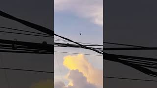 #clouds #birds #awan #burung #indah
