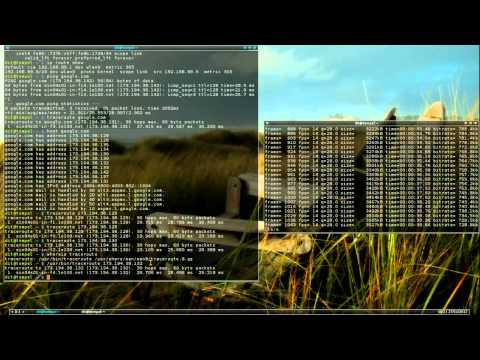 Incorrect traceroute returns only one hop to external IP