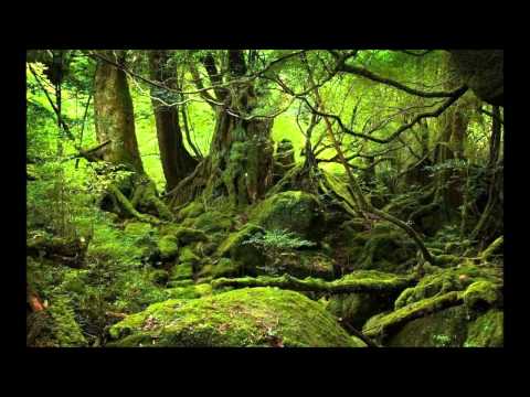 Vocal Trance 2014/2015