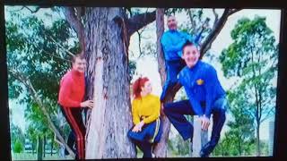 the wiggles cockatoo crest song