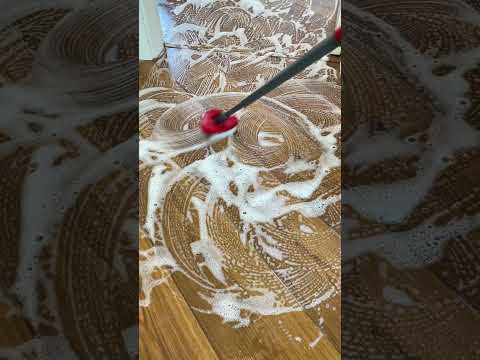 Scrub Brush Head for O Cedar 2-Tanks RinsClean mop, Spin Mop Replace Head , Floor Scrubber