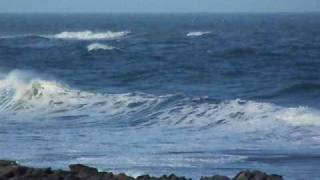 preview picture of video 'Pescadero Beach Early Morning 1'