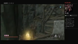 【初見】遅ればせながらSEKIRO、頑張る : 08 【SEKIRO】
