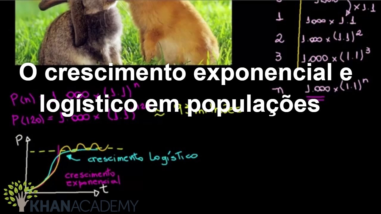 O crescimento exponencial e logístico em populações | Ecologia | Biologia | Khan Academy