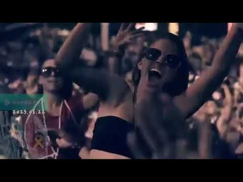 Sher'e Thu Thuy : I Feel Your Love (Alan Nguyen & DJ 강가딘 Remix).