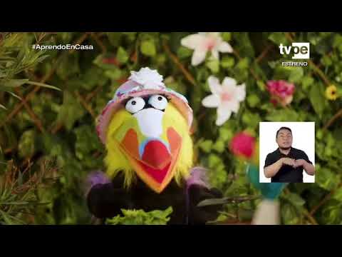 MUSICREANDO CREACION DE CANCIONES