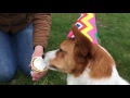 Paige S First Birthday