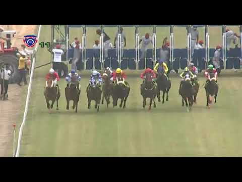 RM1 R1 | Seventh Silver | D.David