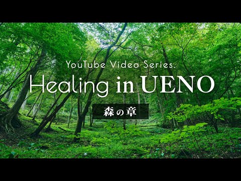 【上野村】 ヒーリング 森の章