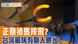 全台不到30人! 釘蹄師面對600公斤巨獸的生死距離 直擊東京奧運亞裔唯一釘蹄師 每刀都是性命交關│主播 苑曉琬│【台灣新思路】20251204│三立iNEWS