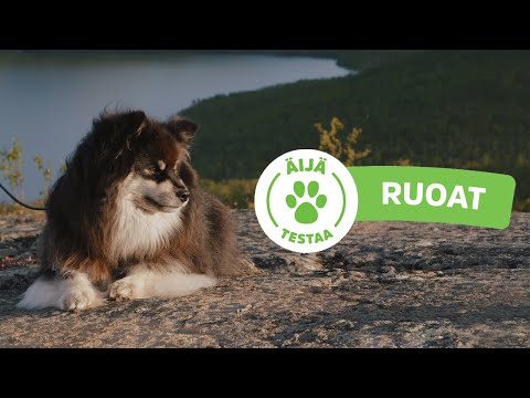 Äijä testaa: Ruoat