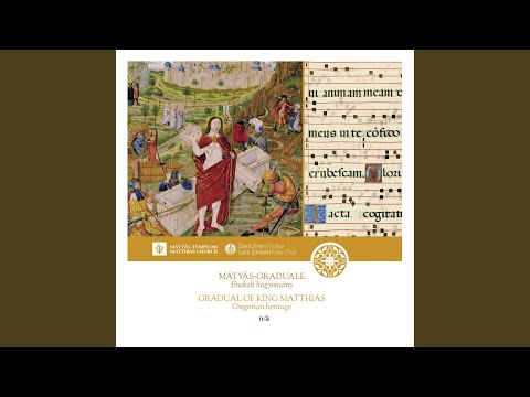 In Voluntate Tua Domine (Introit)