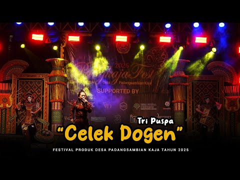 Tri Puspa - Celek Dogen (Live @Padangsambian Kaja Village Product Festival 2025)
