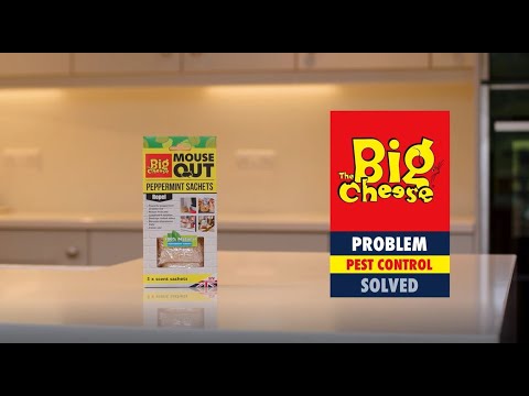 The Big Cheese Mouse Out Scent Sachets 5-Pack STV401 (tbcandme)