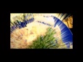 U Wot M8 Universal Intro