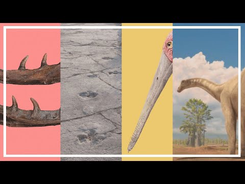 NOTICIAS - VARANO CRETÁCICO - ALIMENTACIÓN EN PTEROSAURIOS - y más