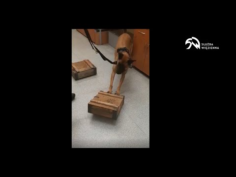 Gabi znalazła marihuanę