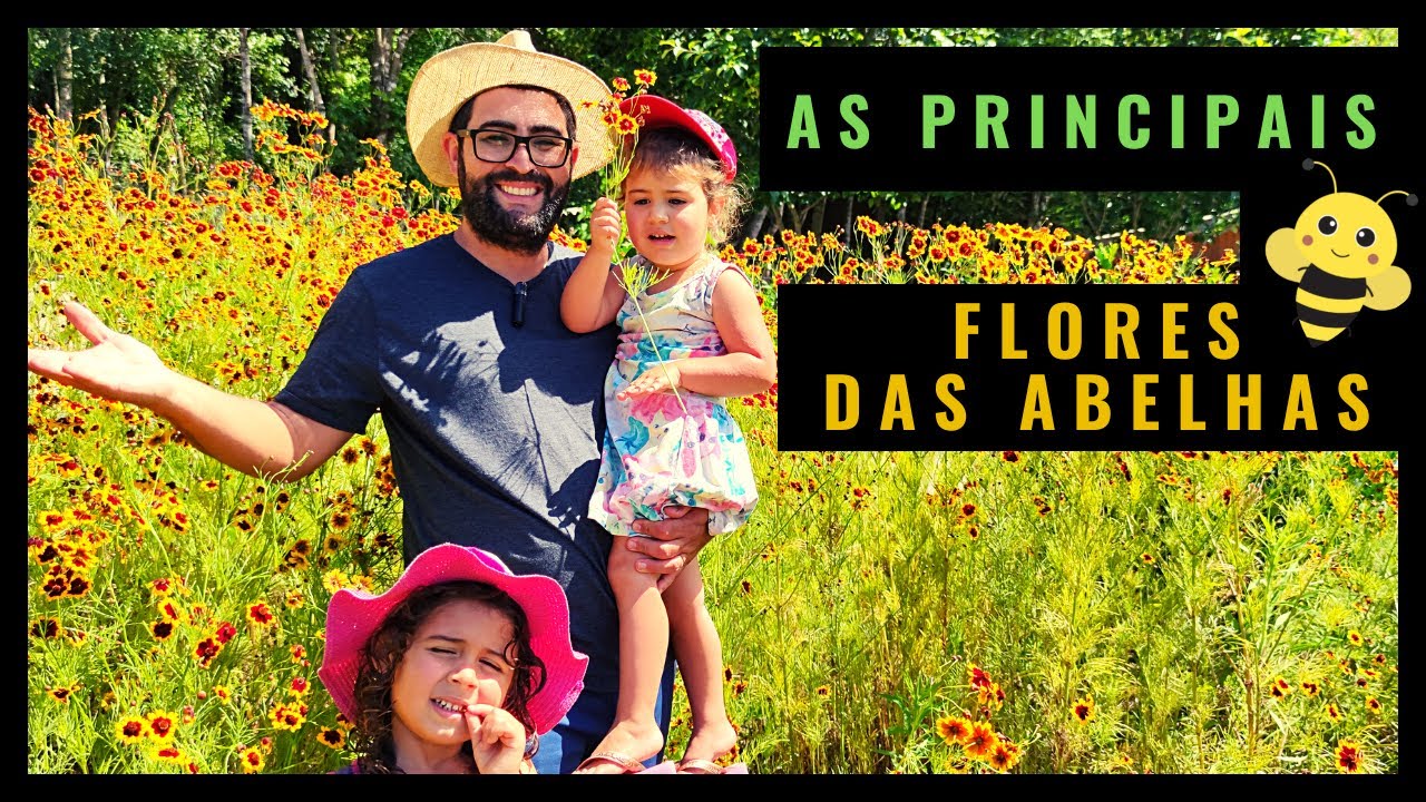 FLORES para as ABELHAS / ( MELHOR LISTA ) COMPLETA