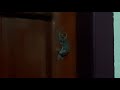 Animal Sex Video 2019