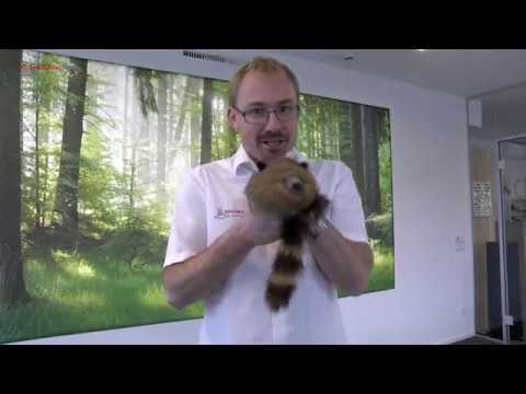 Wir expandieren durch Franchising - Simulation.Tirol wird Franchisegeber