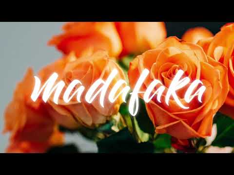 AYO - ( NOVA x QUINAUS )