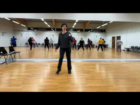 Beginner Line Dancing - Class Recordings