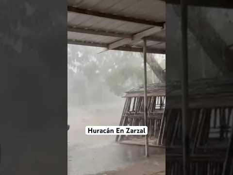 Así Fue El Fuerte Huracán En Zarzal Valle Que tumbo Árboles Postes De Energía Y Causó Daños En Las